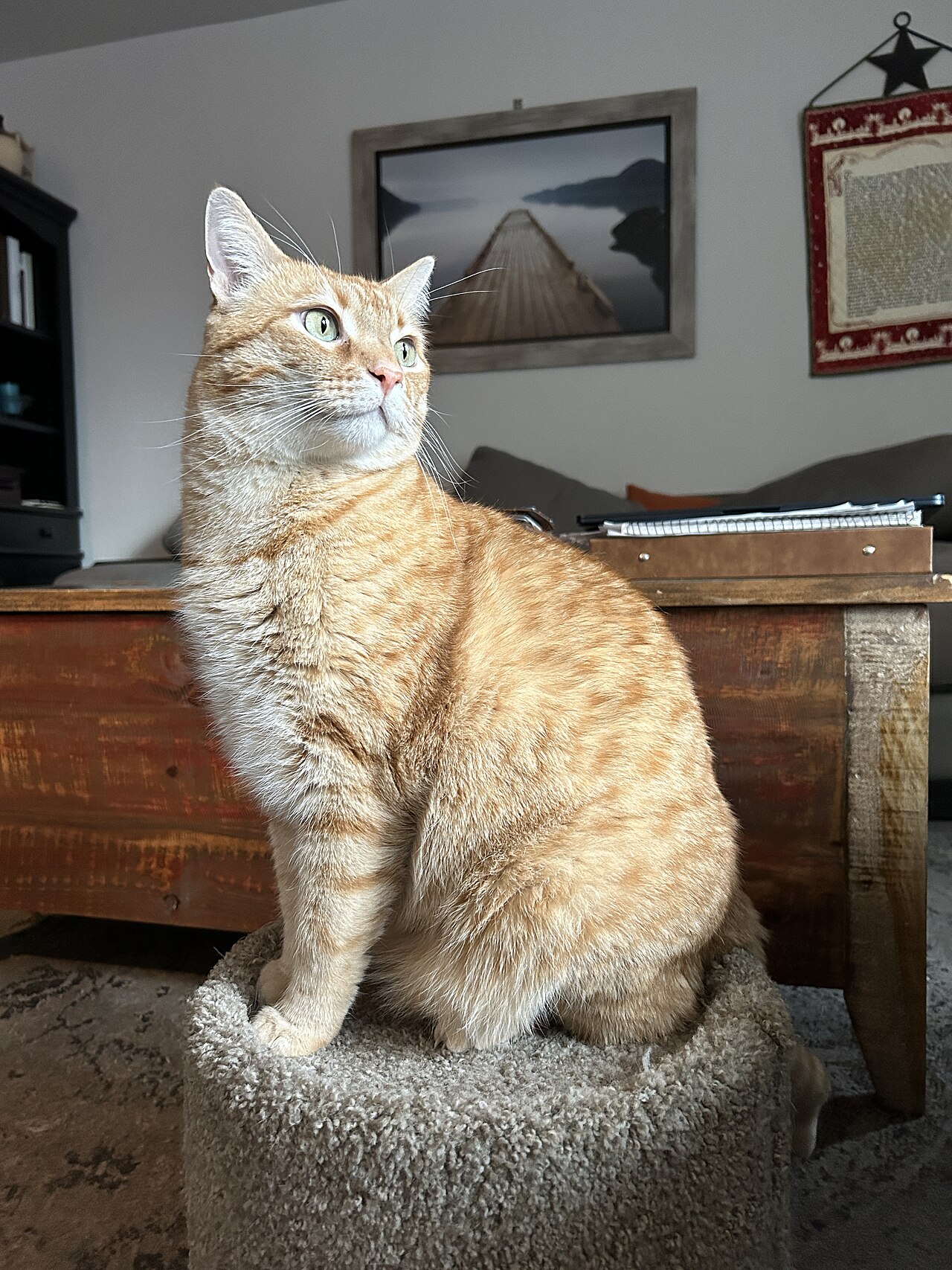 Welcome to Ground School: Lesson One Is Sitting on the Wardrobe