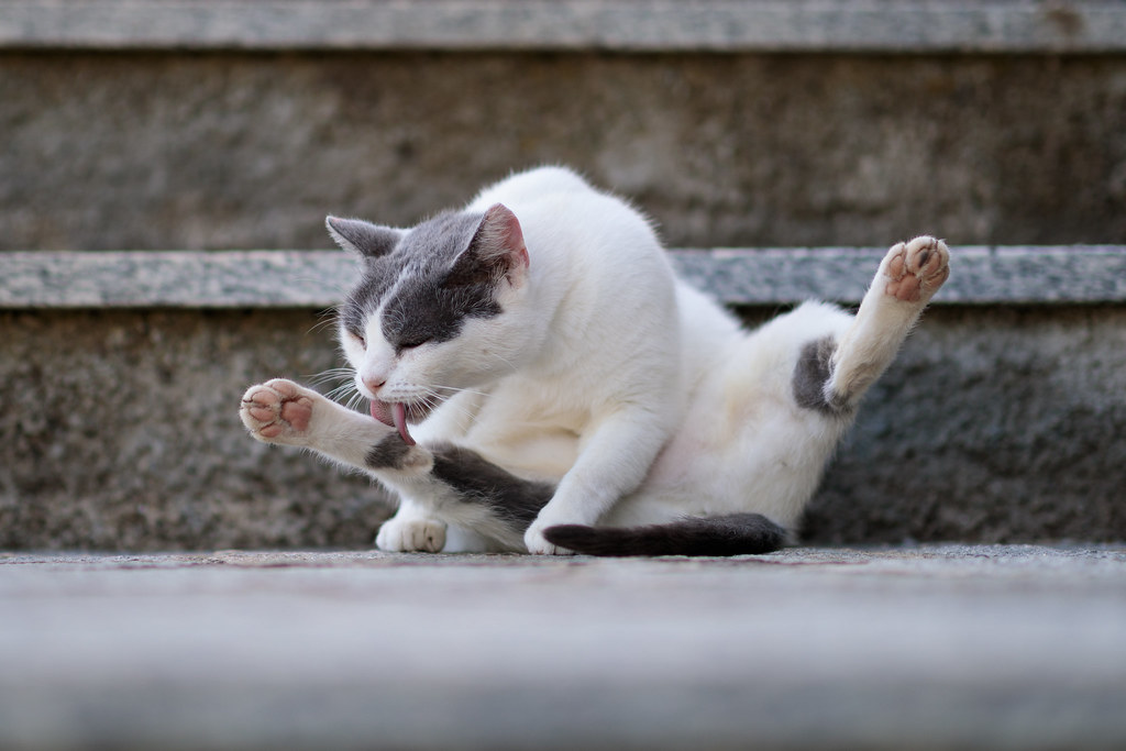 Landing Practice